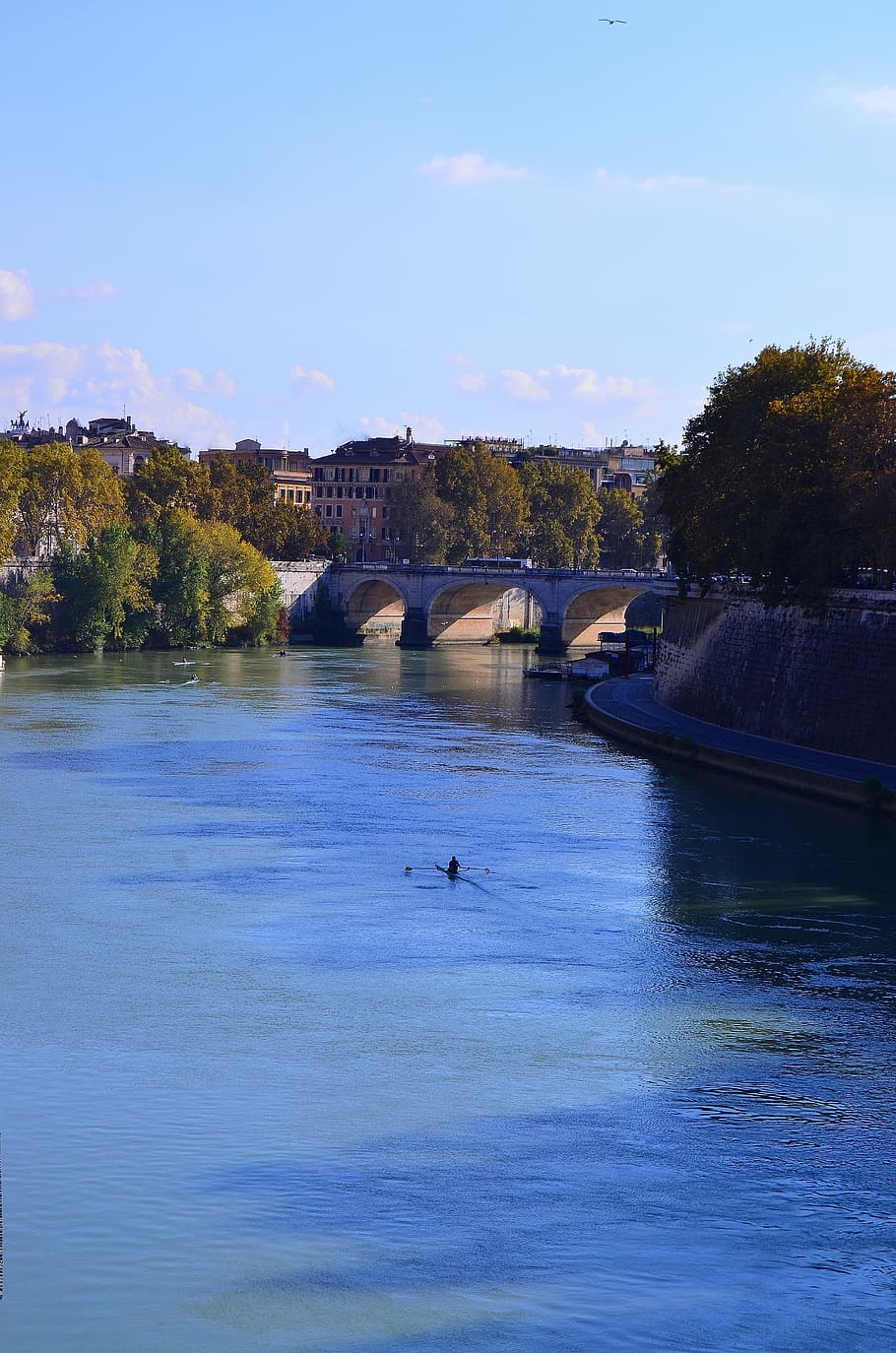 rome, tiber, bridge, river, summer, day, greens, boat, the boatman HD wallpaper