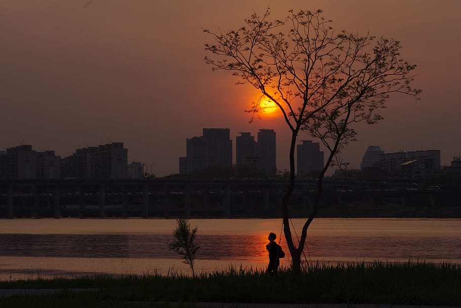 Sunset, Work, Silhouette, Glow, off work, in the evening, people HD wallpaper