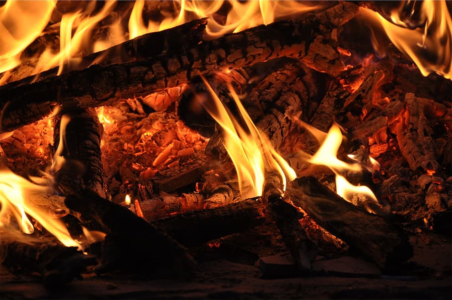 bonfire, flames, wood, burning, fire - natural phenomenon, heat - temperature HD wallpaper