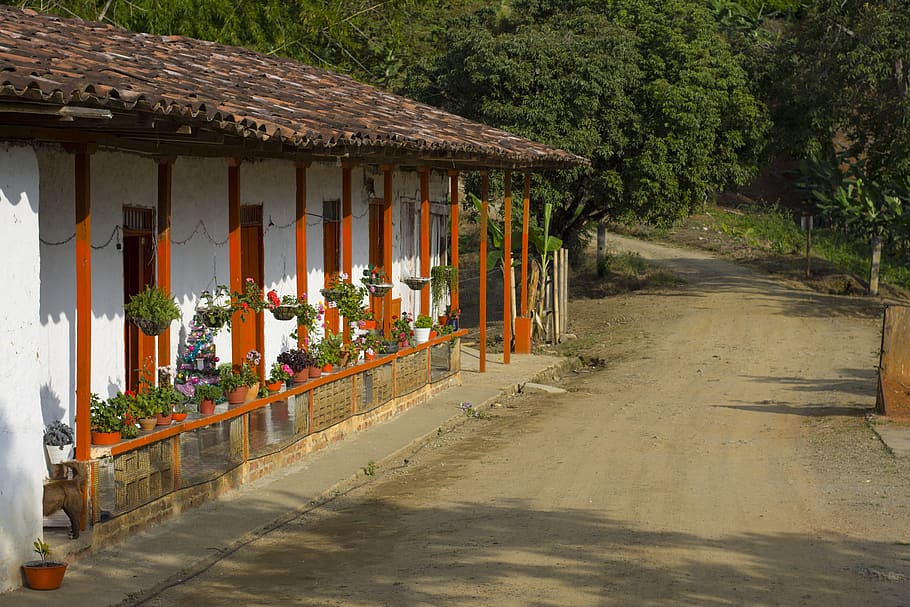 colombia, rural, architecture, built structure, plant, building HD wallpaper