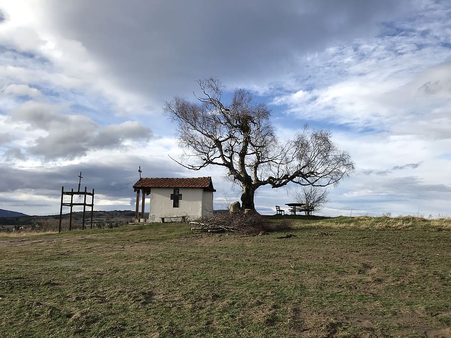 chapel, tree, old tree, cross, mountain, meadow, stay, clouds HD wallpaper