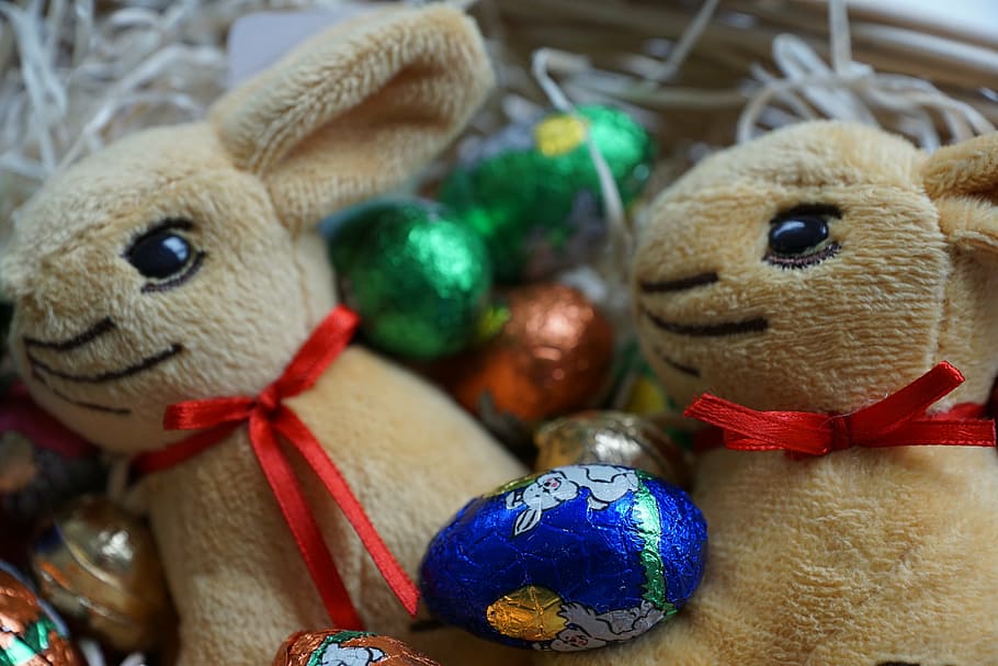 easter, rabbit, egg, festival, chocolate, animal, spring, easter eggs HD wallpaper