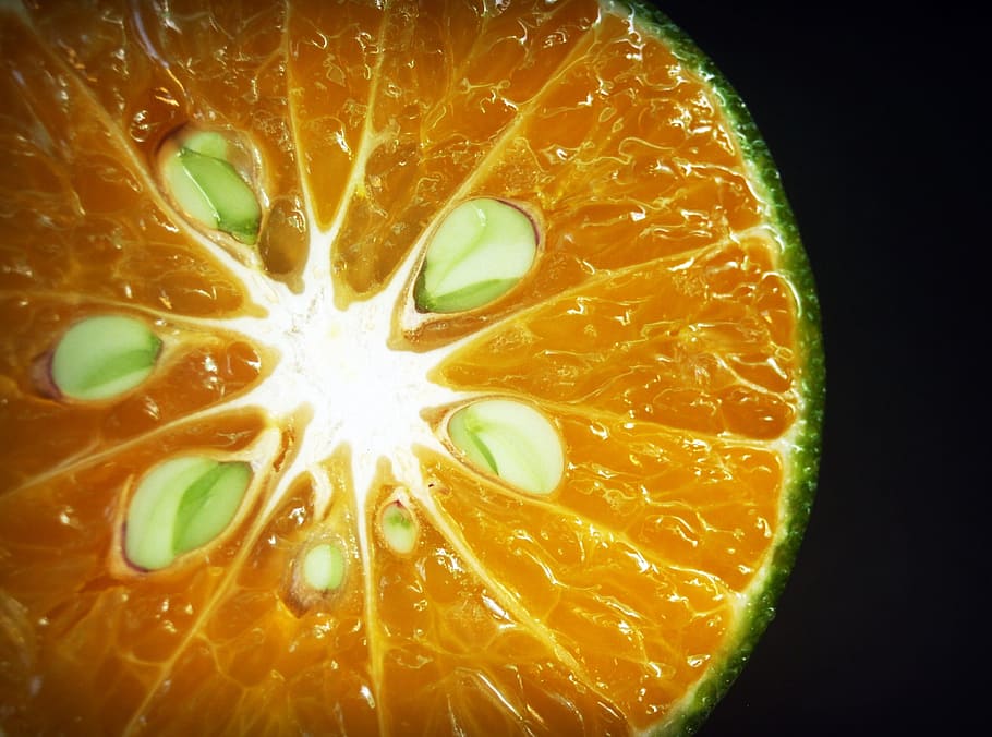 orange, fruit, slice, white, citrus, sour, isolated, agriculture HD wallpaper