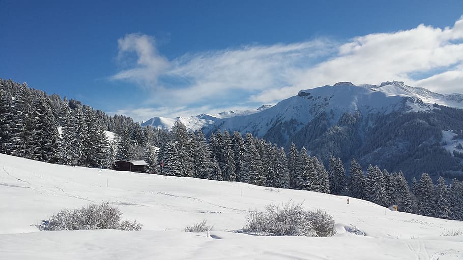 winter, snow, wintry, white, cold, light, nature, switzerland HD wallpaper