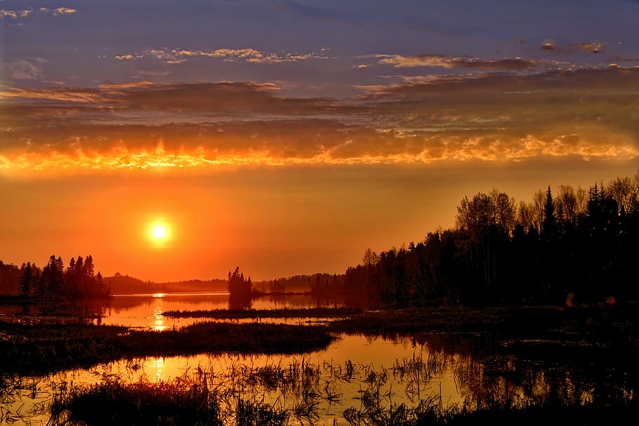 silhouette of trees surrounded by body of water overlooking sunset HD wallpaper