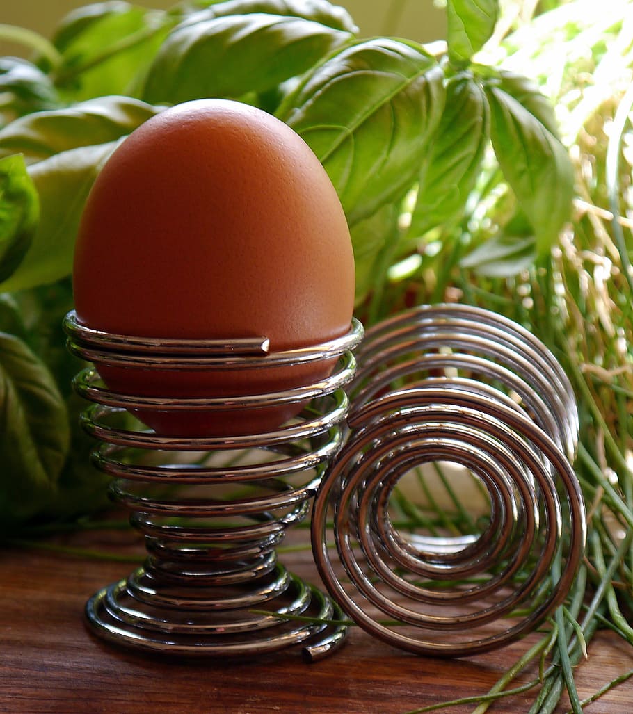 egg, holder, eggcup, shell, raw, eggshell, cooked, brown, food and drink HD wallpaper