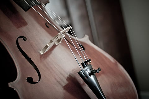 close-up photography of brown violin, cello, detail, instrument HD wallpaper