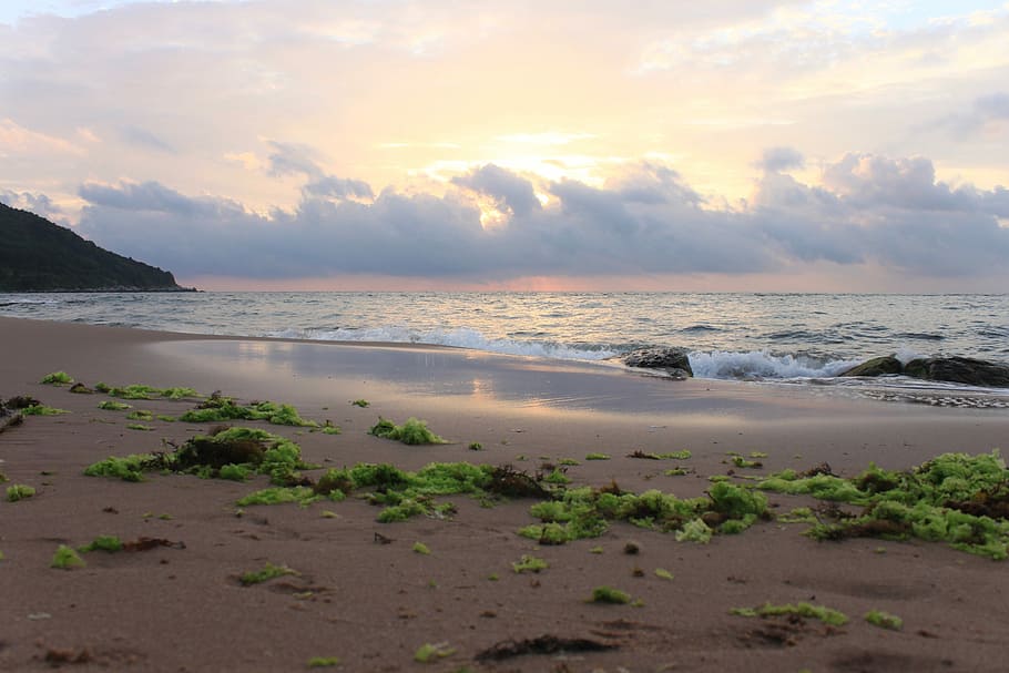 Beach, Sunset, Marine, Solar, Clouds, nature, sky, bartin, sea HD wallpaper
