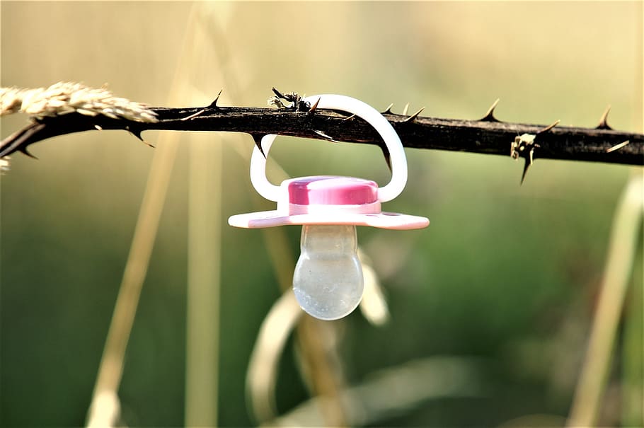 Pacifier, Lollipop, Plastic, nuggi, grass, nature, baby, safety HD wallpaper
