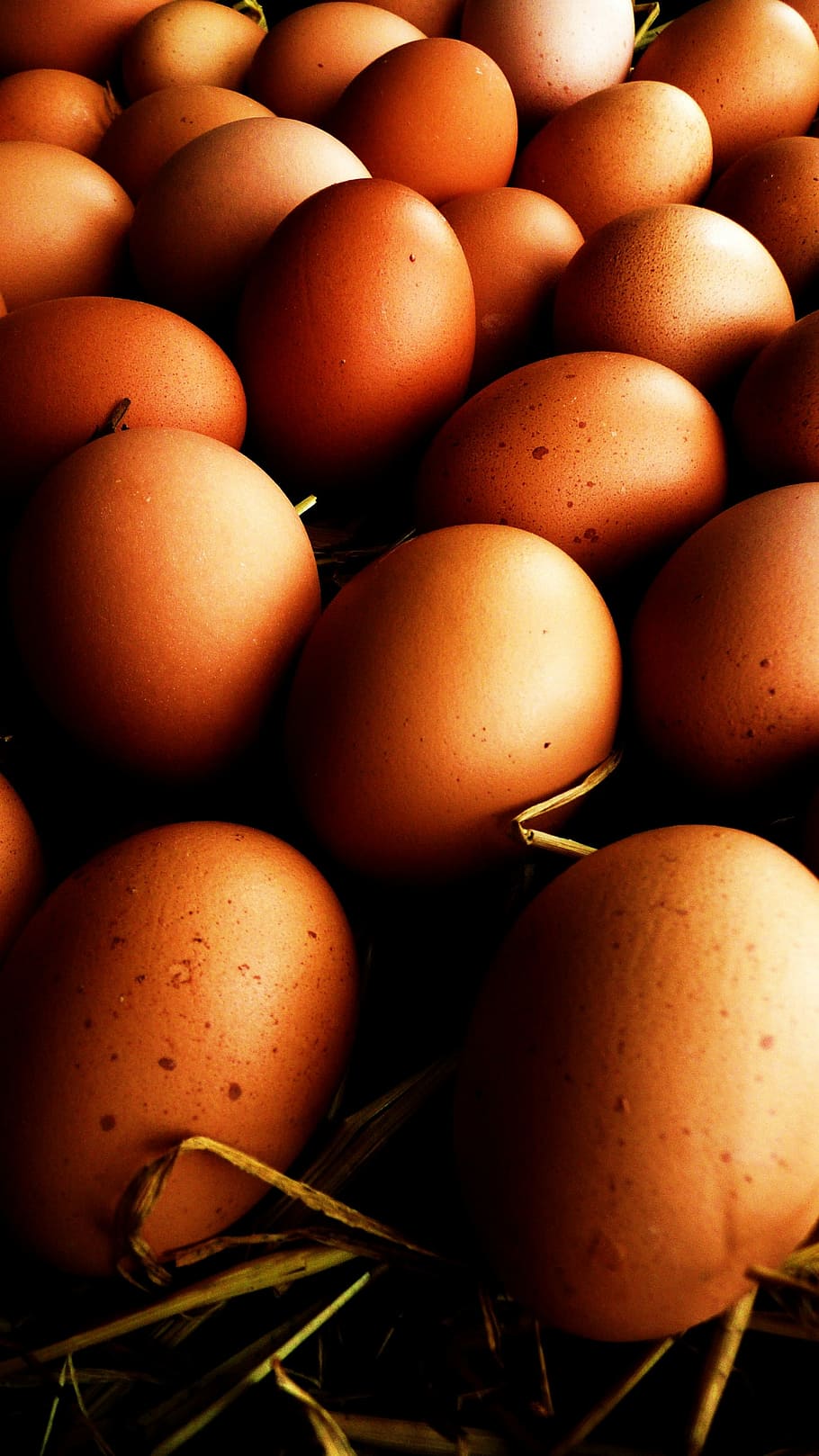 Eggs, Straw, Egg, White, Ecru, Food, fresh, organic, food and drink HD wallpaper