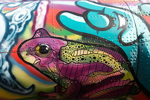 multicolored frog painting, graffiti, helicopter, object, grunge HD wallpaper