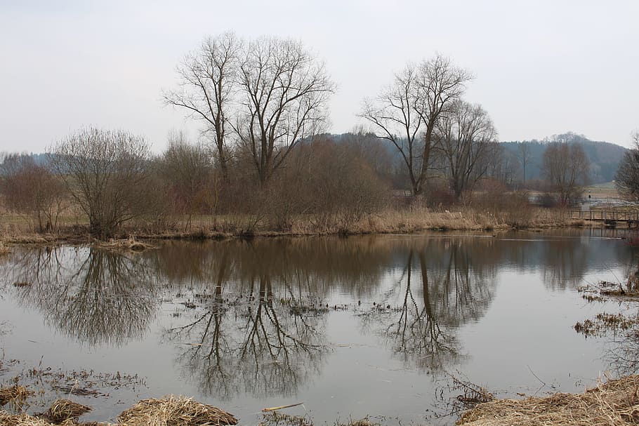 nature, waters, reflection, landscape, tree, lake, autumn, tranquility HD wallpaper