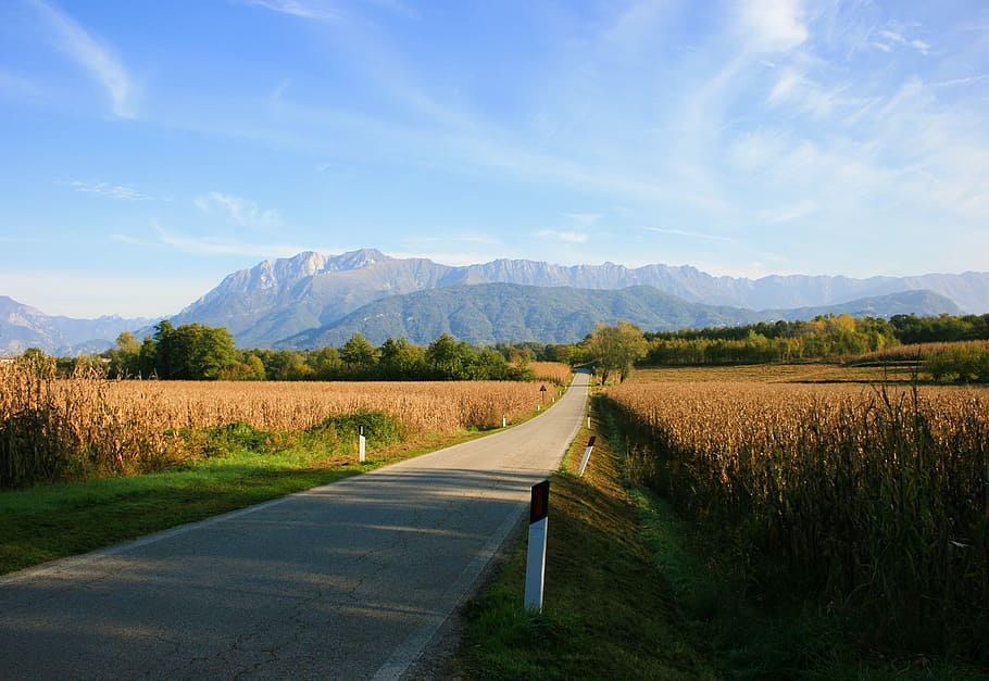 road with grass land, road near brown field at daytime, rural HD wallpaper
