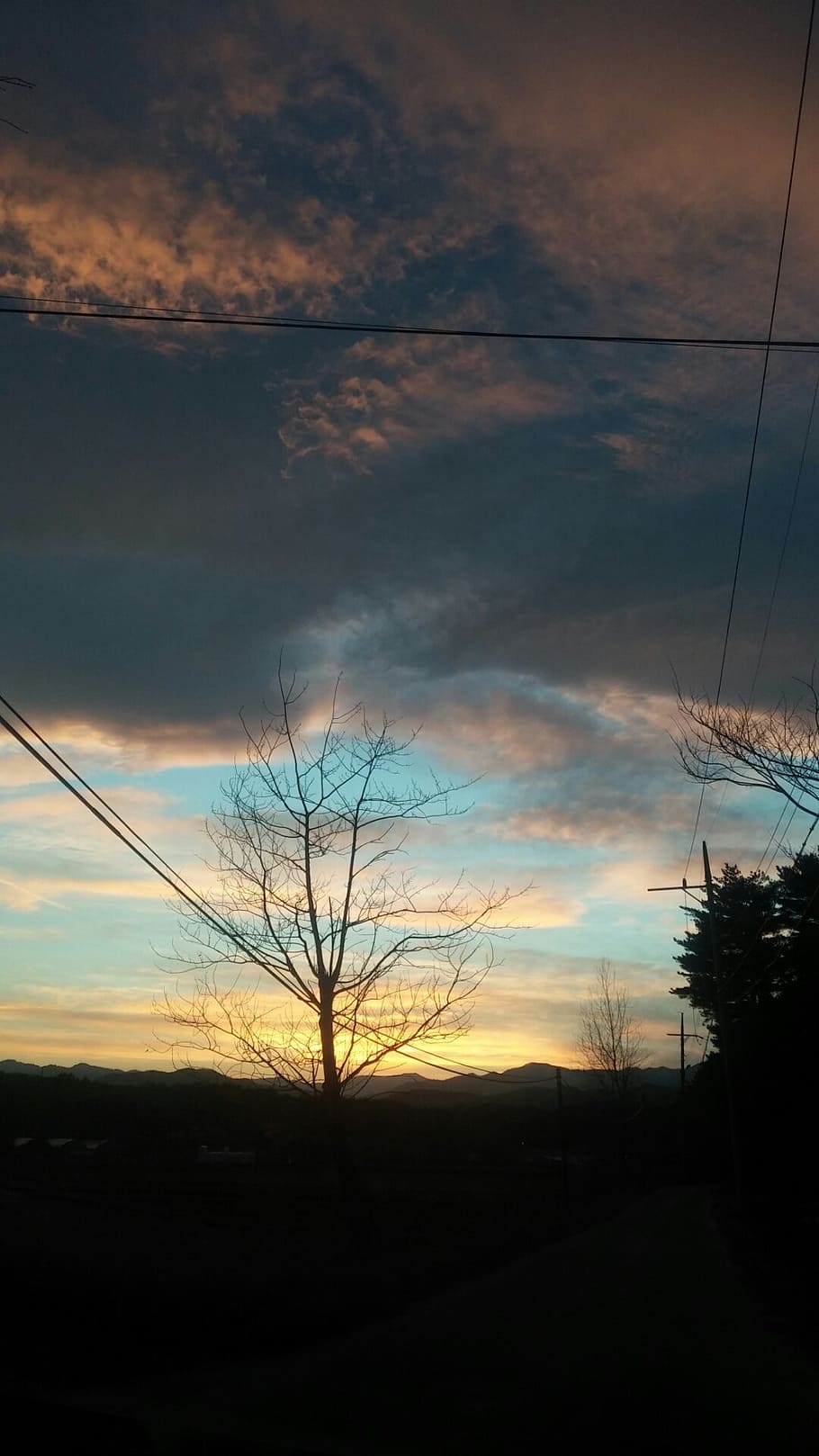 nature, sunset, cloud, sky, cloud - sky, silhouette, tree, cable HD wallpaper