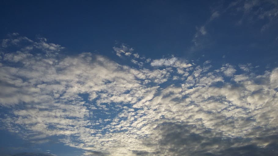 sky, clouds, cotton, blue sky, cloud - sky, cloudscape, beauty in nature HD wallpaper
