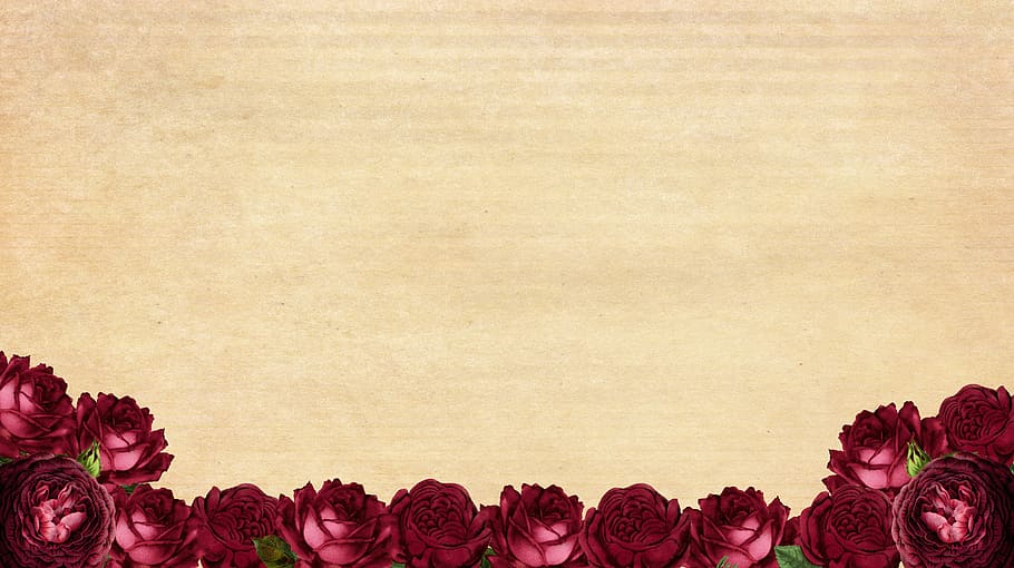 red rose flower arrangement, roses, frame, background image, flowers, HD wallpaper