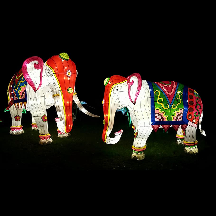 Elephants, Lanterns, Indian, Light, decoration, outdoor, artistic HD wallpaper