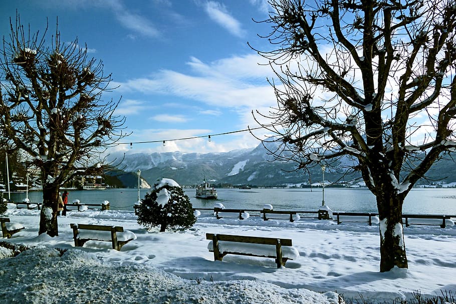 wintry, winter lake, cold temperature, snow, beauty in nature HD wallpaper