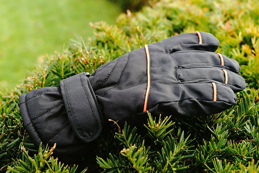 glove, hedge, winter, lost, forget, bush, periwinkle, background HD wallpaper
