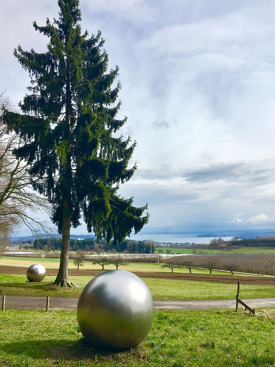 tree, ball, meadow, lake constance, round, nature, überlingen