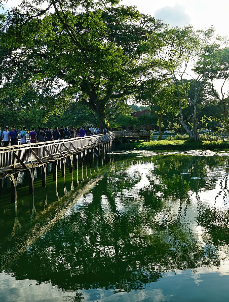 lake, bridge, wooden, reflection, yangon, myanmar, rangoon, HD wallpaper