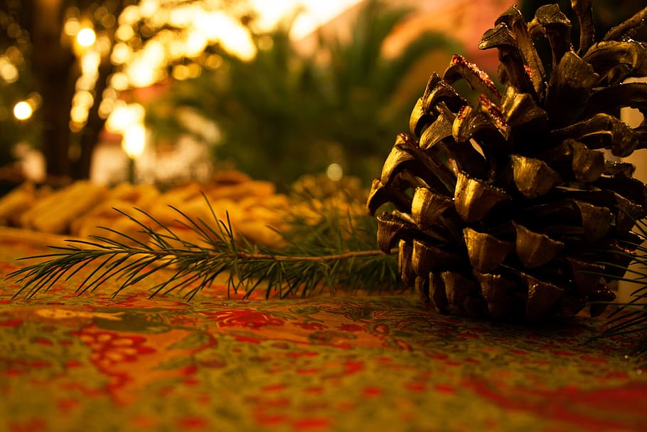 pinecone beside pine leaf on multicolored floral textile, pine cone HD wallpaper
