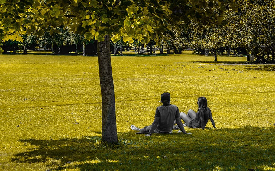 people, sitting, park, green, tree, person, lifestyle, young HD wallpaper