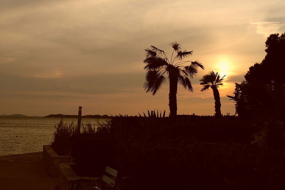 beach, sunset, trees, shadow, holidays, summer, sky, scenics - nature HD wallpaper