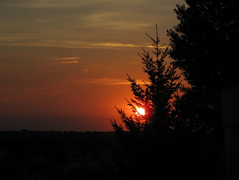 sun, evening, sunset, sunlight, nature, sky, silhouette, orange color HD wallpaper