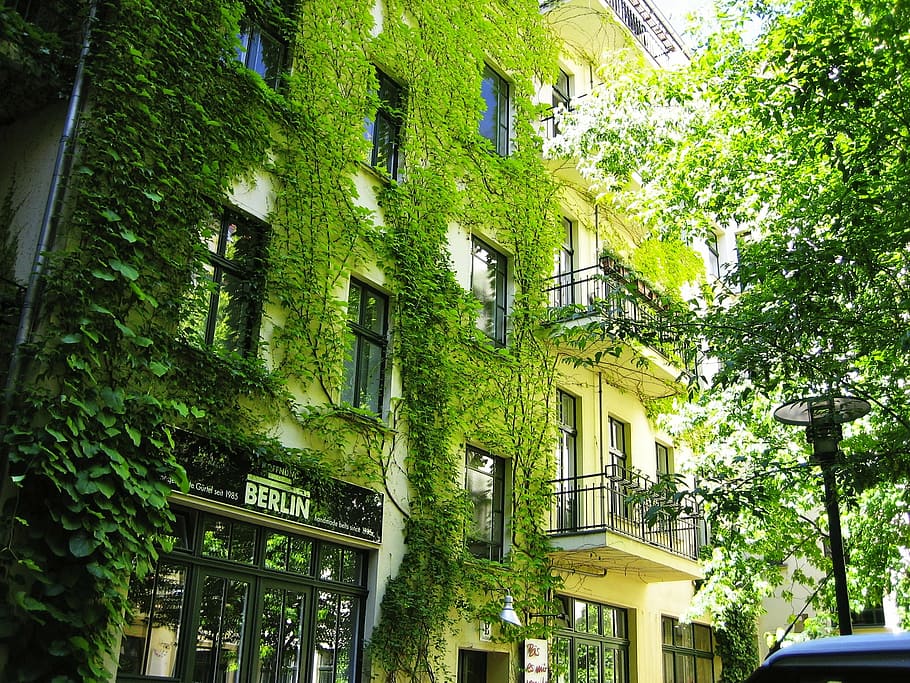 berlin, hackesche höfe, green, architecture, house, street HD wallpaper