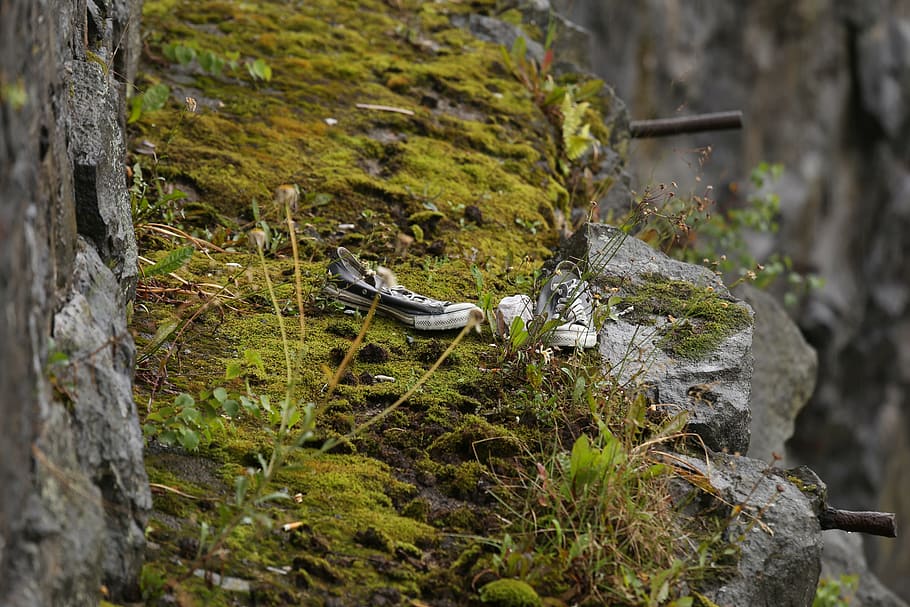 mountain, cliff, moss, stone, cliffs, sneakers, plant, tree HD wallpaper