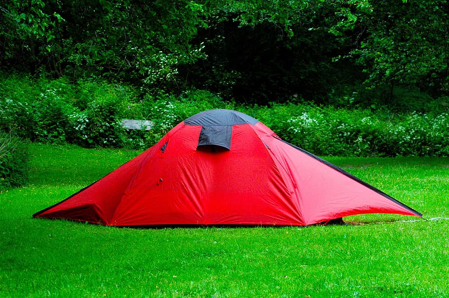 camping, tent, nature, plant, green color, grass, tree, red HD wallpaper