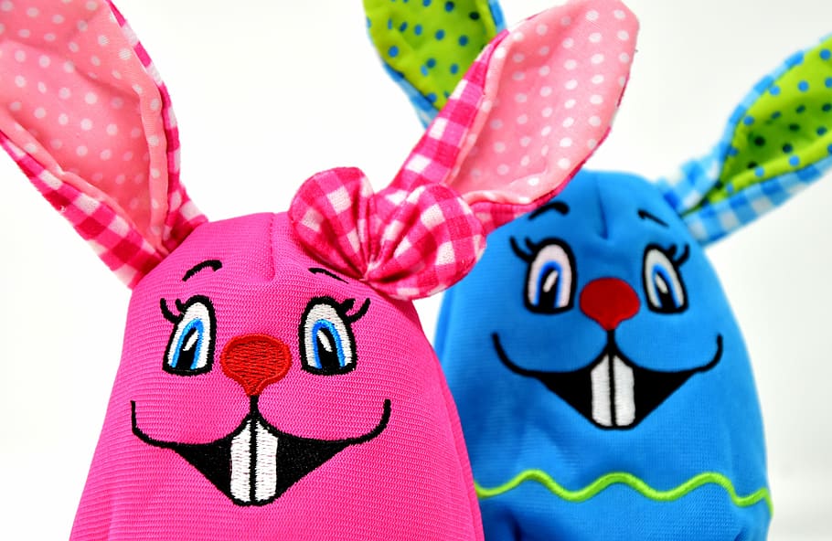 pink and blue eastern bunny puppet, easter bunny, colorful HD wallpaper