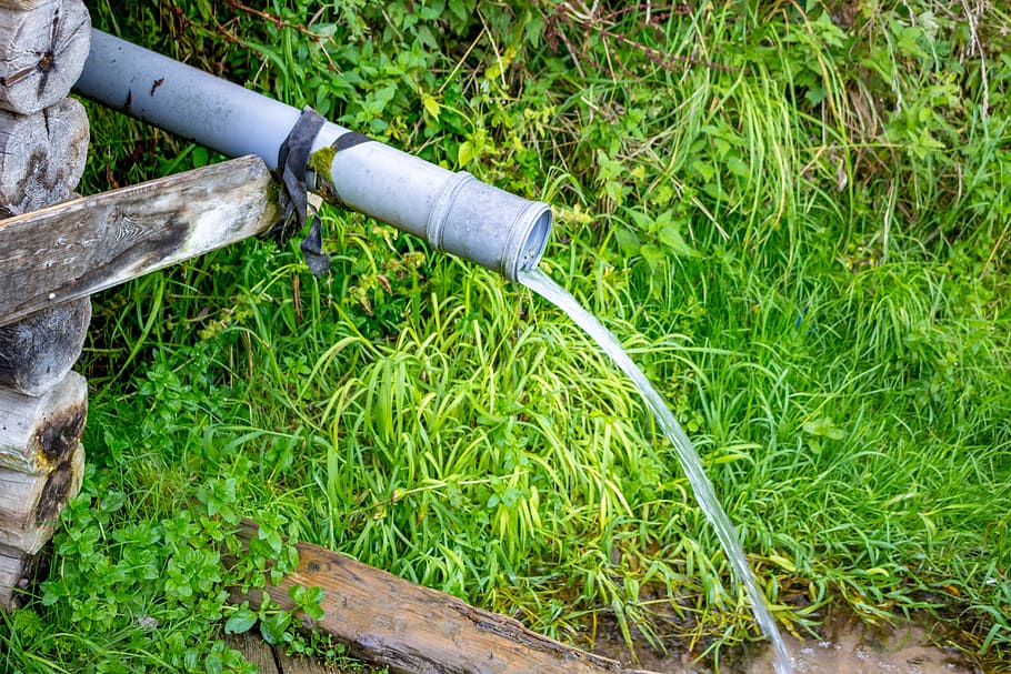 spring, source, water, innings, trumpet, drink, jet, plant HD wallpaper