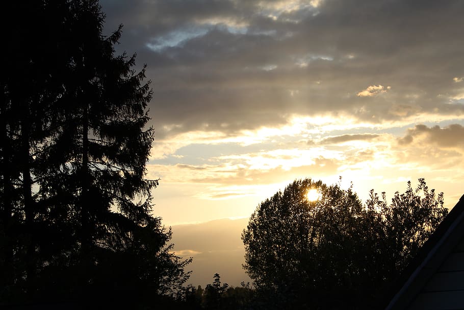 nature, sunset, tree, panorama, cloud, dusk, sky, gold, evening sky HD wallpaper