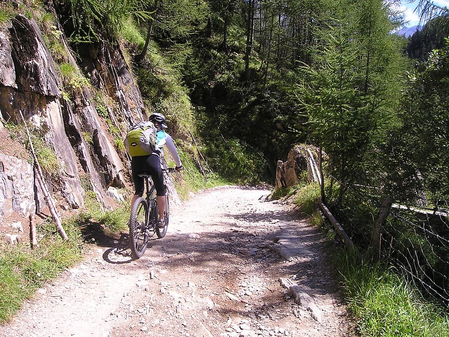 man ride on bicycle moving near green leafed trees, Mountain Bike, HD wallpaper