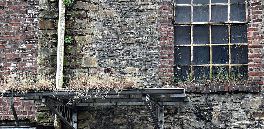 Grasses at the Top of Building Structure during Daytime, brick HD wallpaper