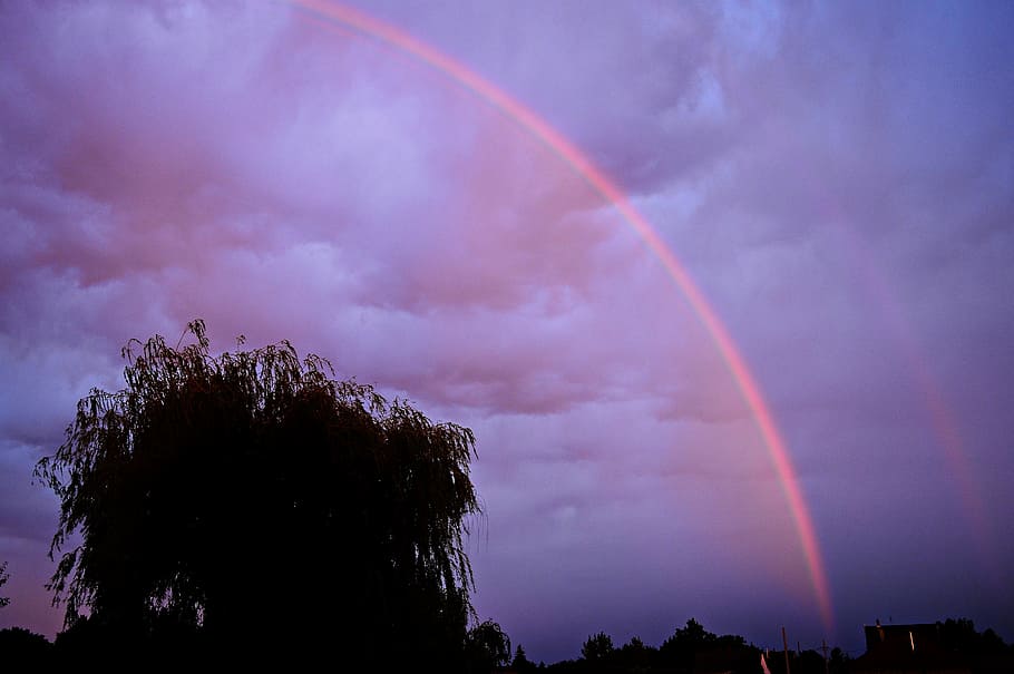 silhouette photo of tree under rainbow, sunset, storm, clouds, HD wallpaper