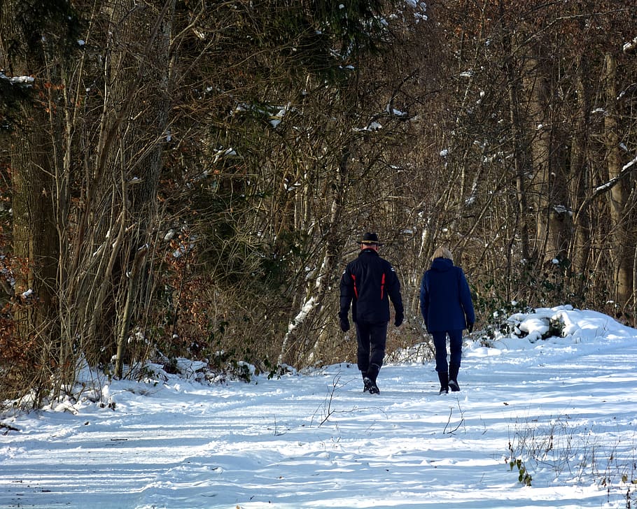 winter, snow, forest, away, trees, personal, pair, man, woman HD wallpaper
