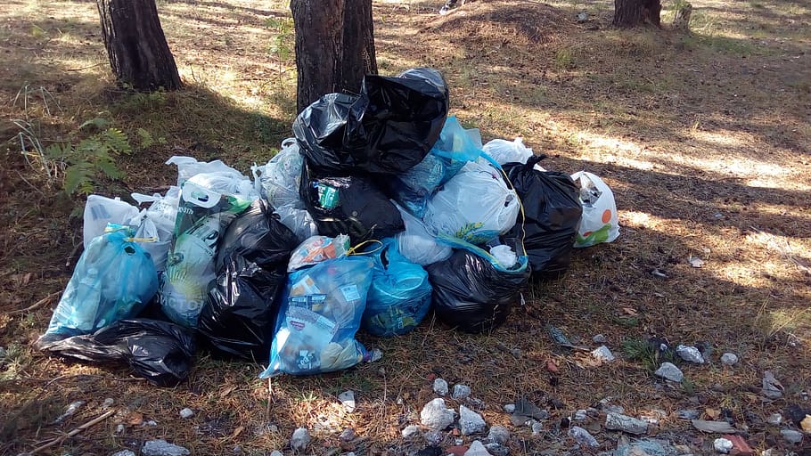 garbage, environmental action, garbage collection, nature, land HD wallpaper