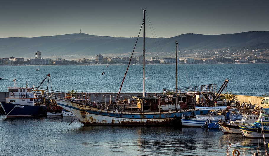 blue and white sailboat near dock, green, water, architecture HD wallpaper
