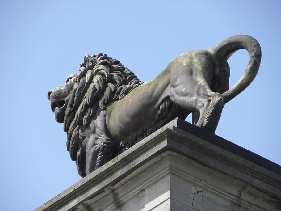 waterloo, napoleon, lion monument, belgium, sculpture, statue, HD wallpaper