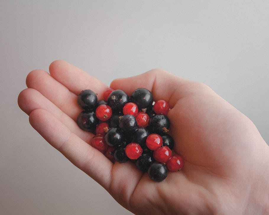red, blue, berries, hands, food, human hand, fruit, healthy eating HD wallpaper