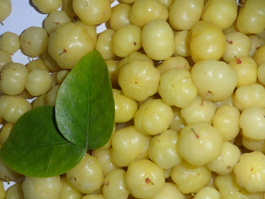 round yellow fruits beside two green leaves, goose berries, amla