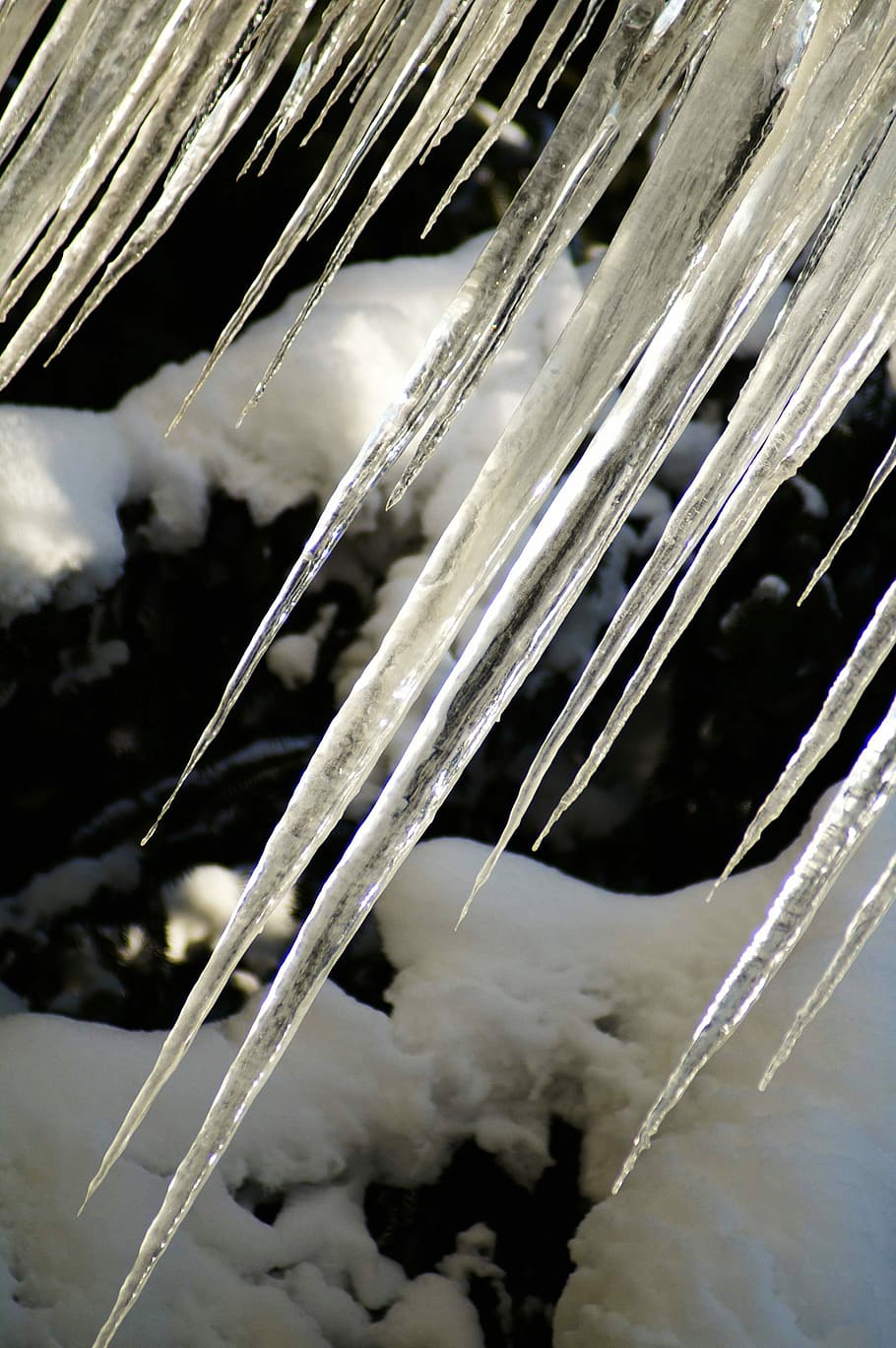 Icicle, Ice, Winter, Cold, Snow, ski holiday, frozen, december HD wallpaper