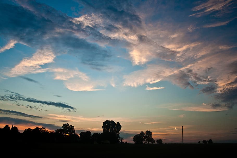 summer, sunset, trees, evening, clouds, pink, sky, blue, cloud - sky HD wallpaper