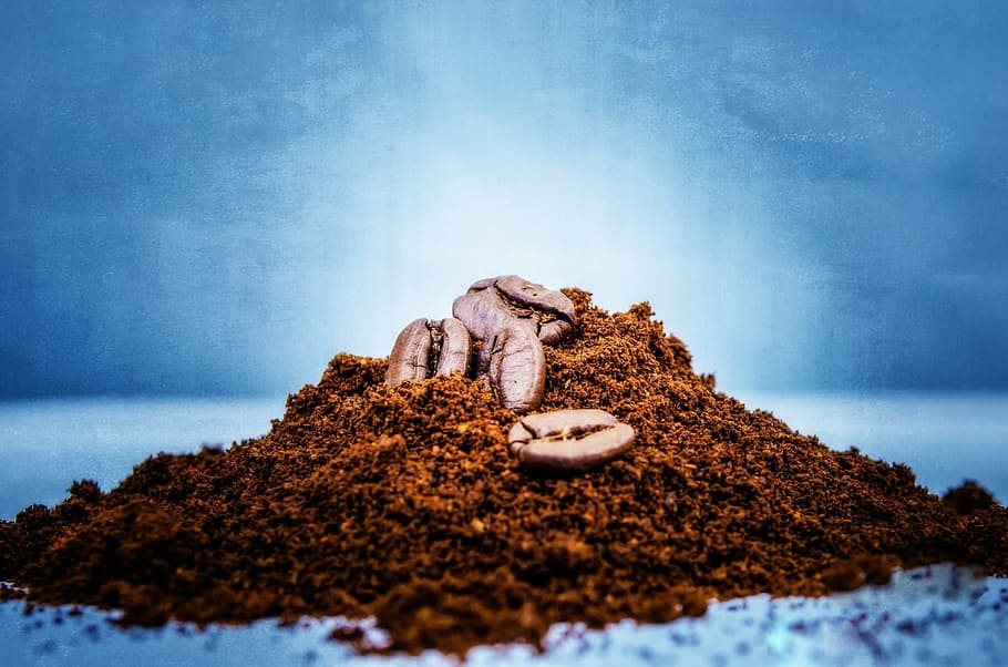 seeds on brown soil, coffee, bean, macro, food, shop, roasting HD wallpaper