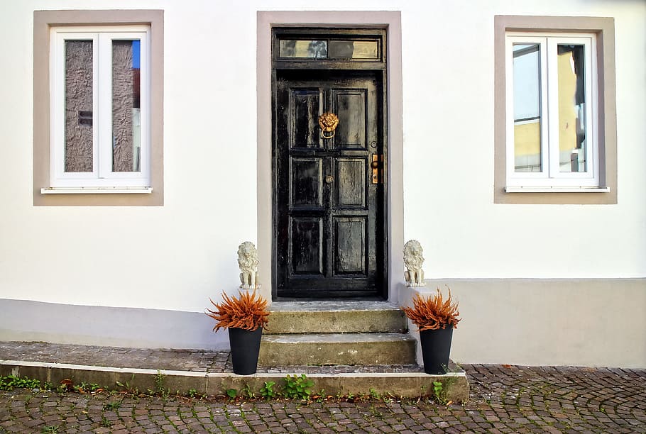 two potted orange plants placed near closed door, input, home HD wallpaper