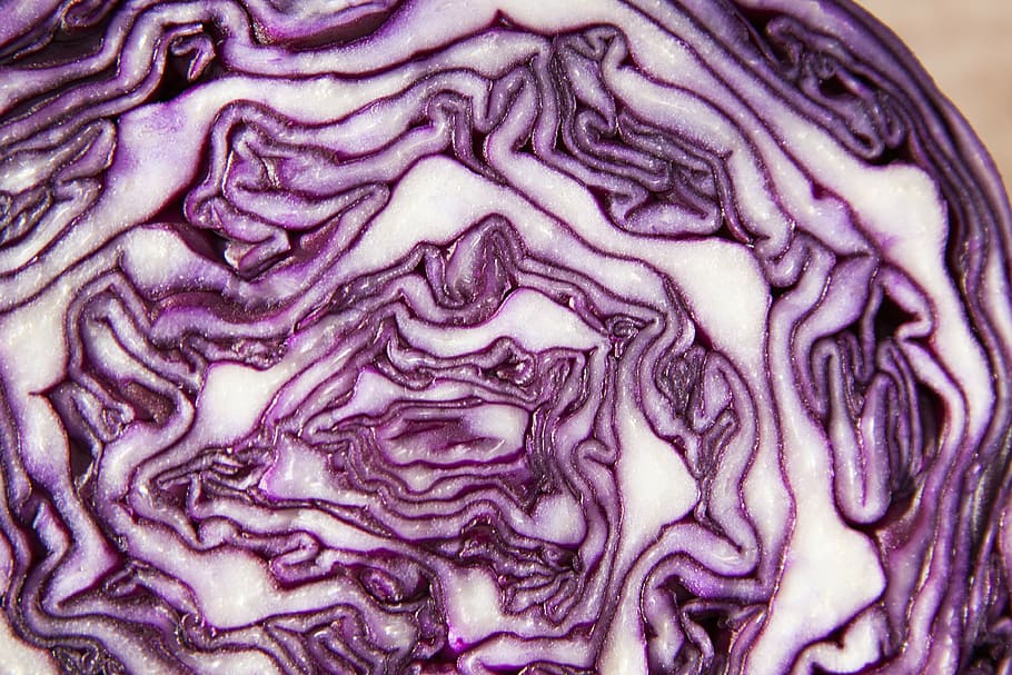 red cabbage, brassica oleracea, kohl, ruebkohl, winter vegetables, food, HD wallpaper