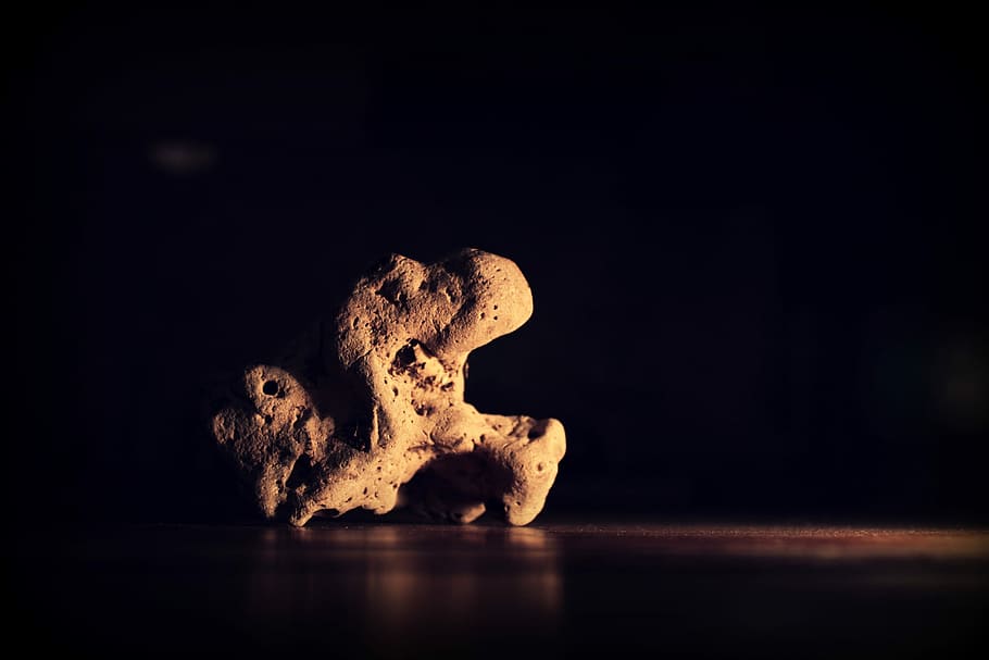 Rock, Stone, Light, rocks, animal wildlife, no people, black background HD wallpaper